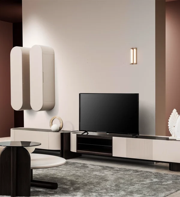 FIN Comoda TV ingusta - imagine 3